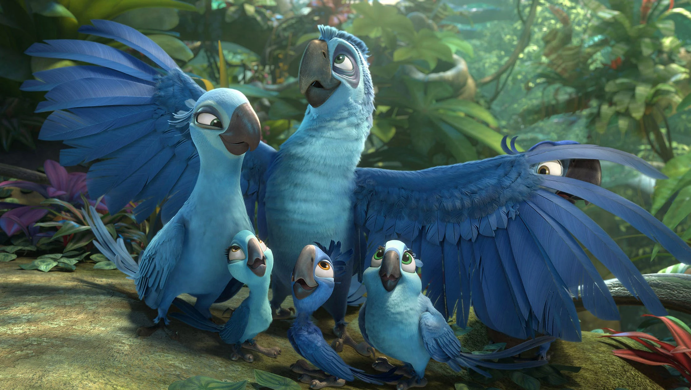 Phim Chú Vẹt Rio - Rio (2011)
