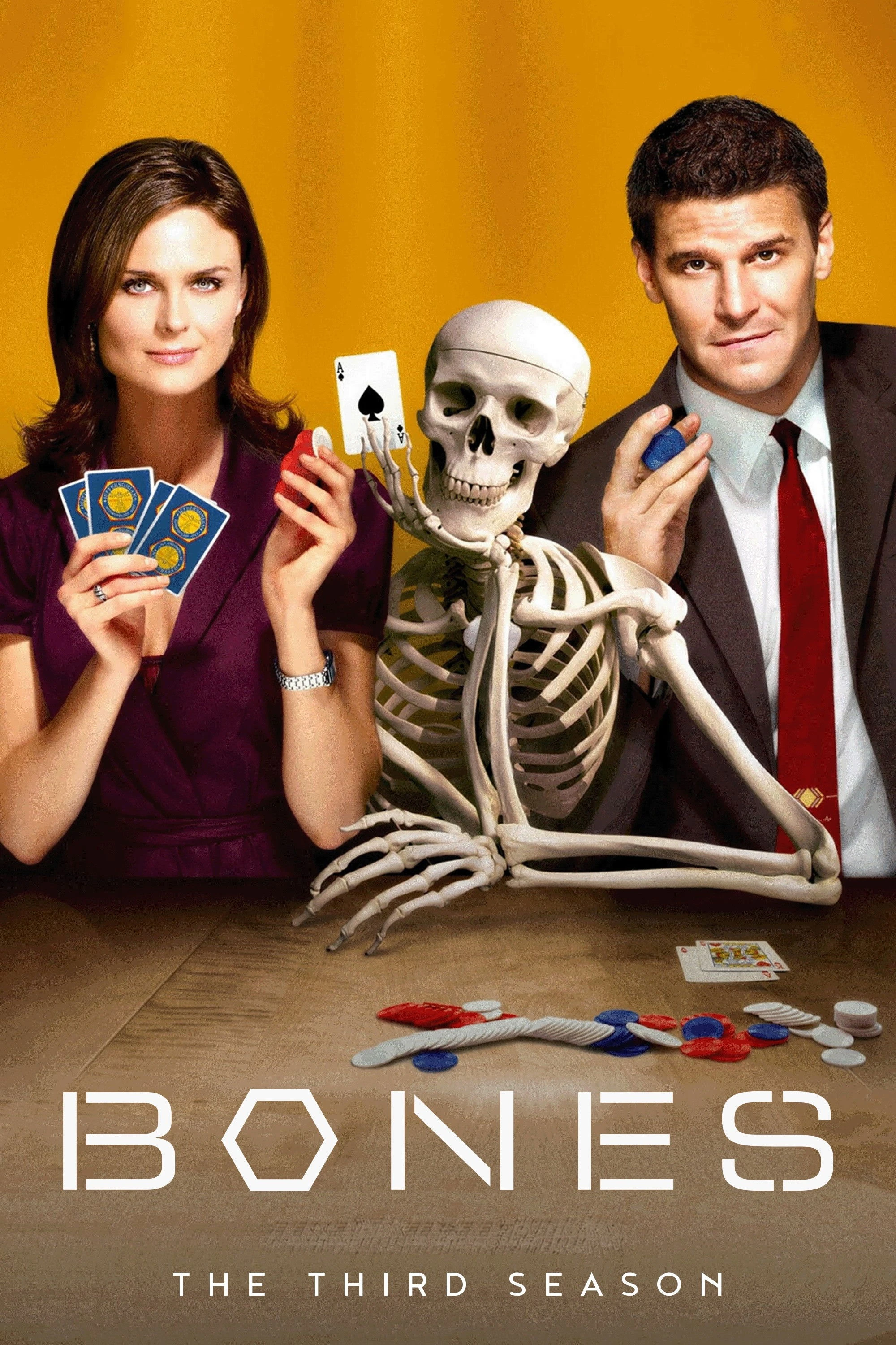 Phim Hài Cốt (Phần 3) - Bones (Season 3) (2007)