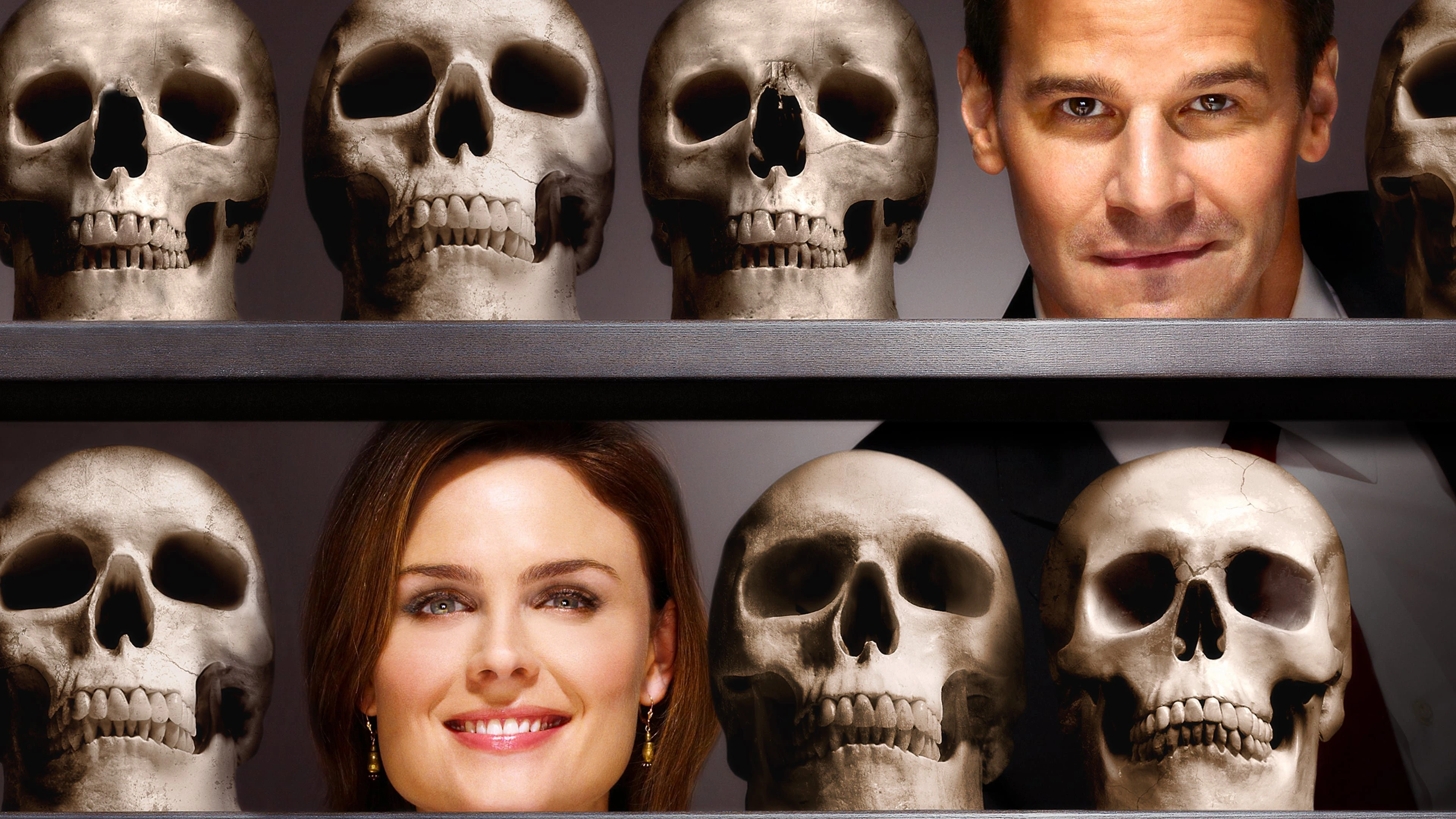 Phim Hài Cốt (Phần 3) - Bones (Season 3) (2007)