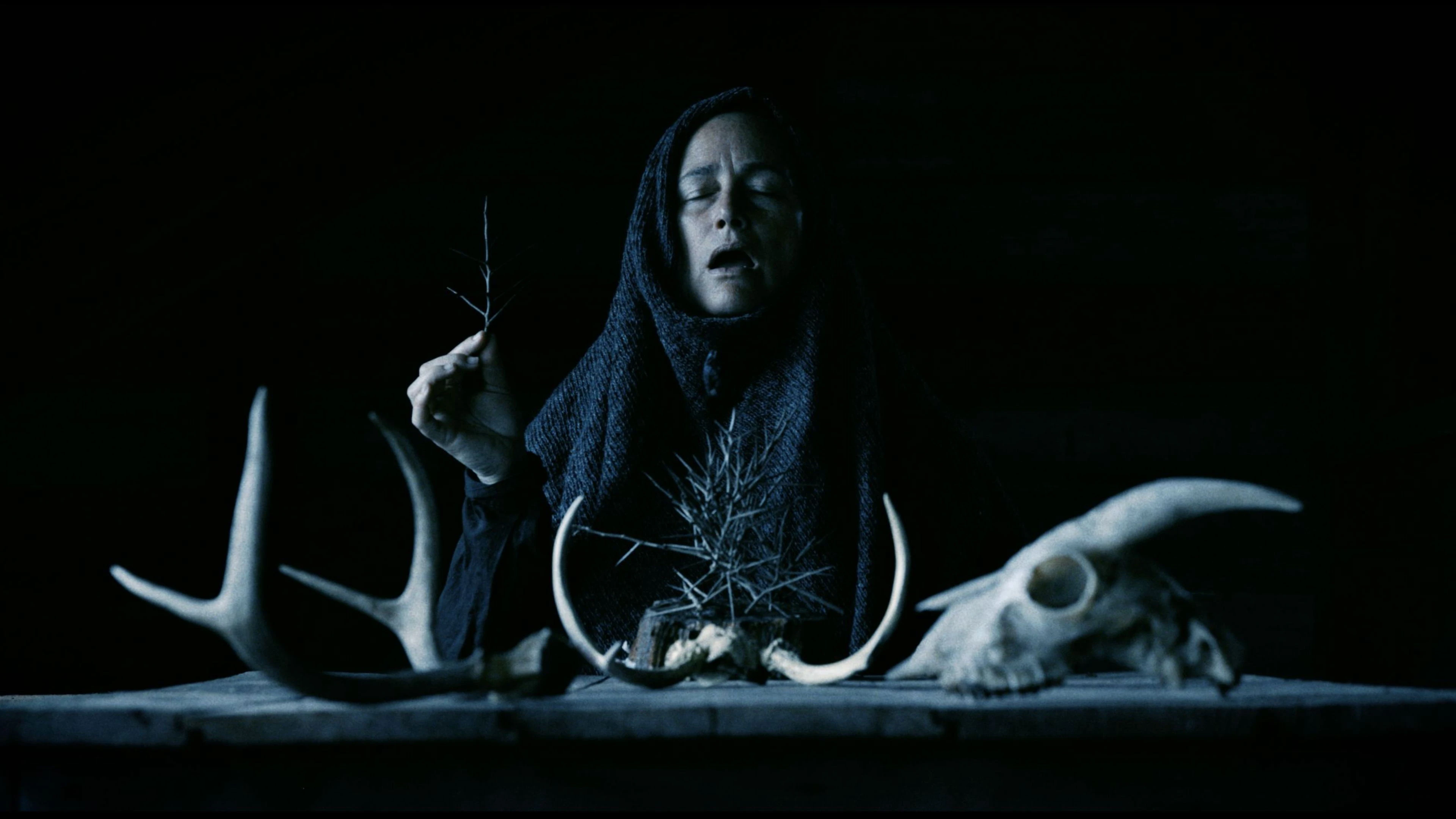 Phim Nghi Lễ Mục Rỗng - Mother of Flies (2025)