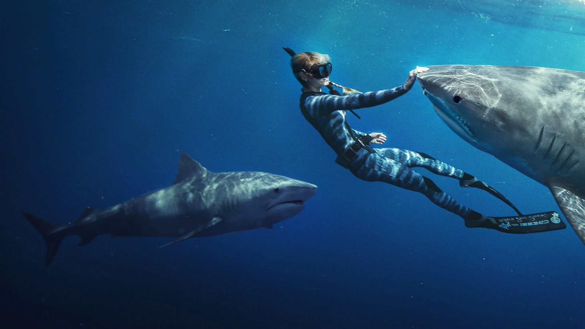 Phim Người bạn của cá mập - Shark Whisperer (2025)