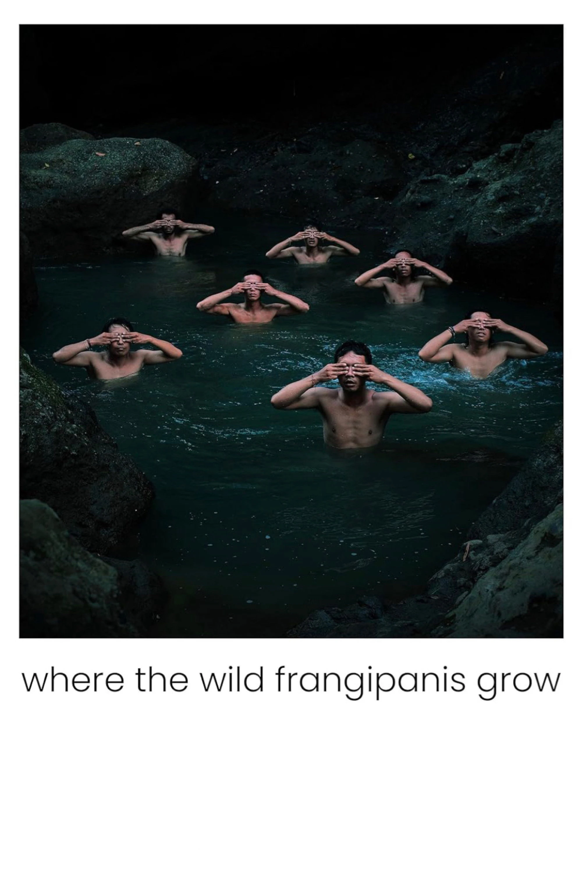 Phim Nơi hoa sứ dại mọc - Where the Wild Frangipanis Grow (2023)