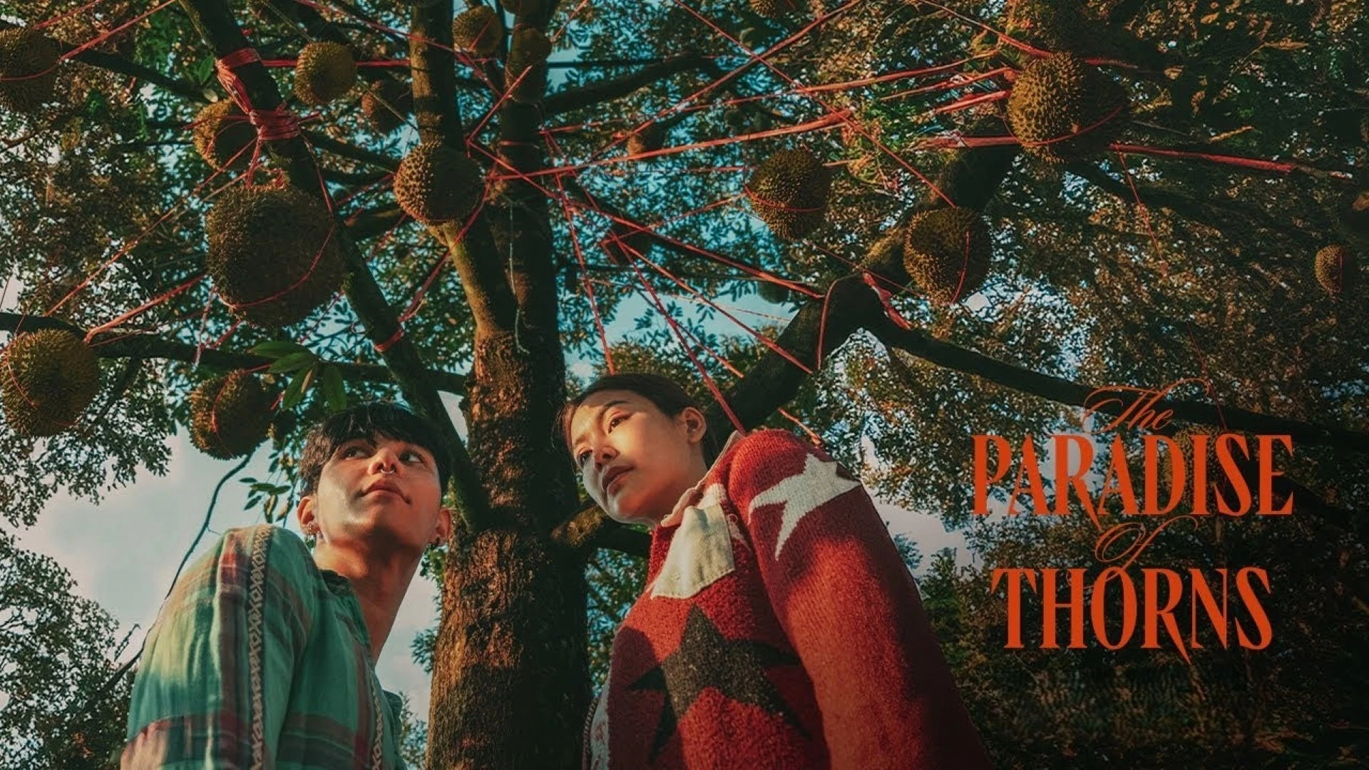 Phim Thiên Đường Quả Báo - The Paradise of Thorns (2024)