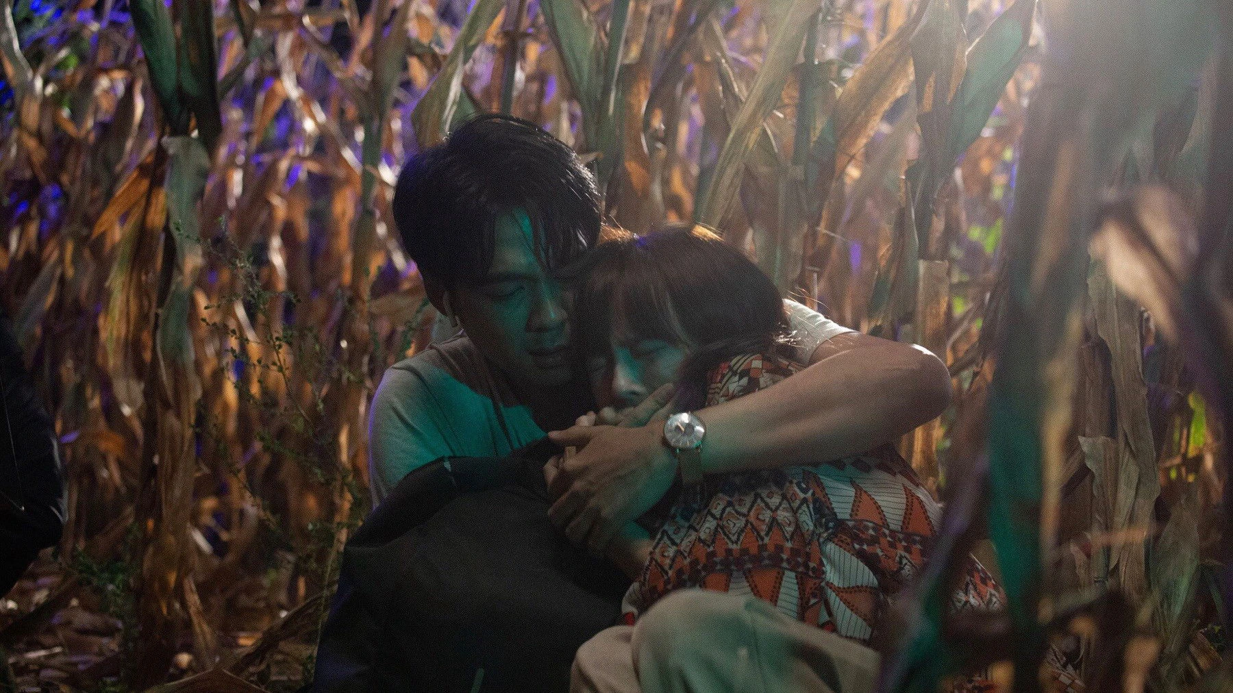 Phim Yêu Không Sợ Hãi - Fearless Love (2022)